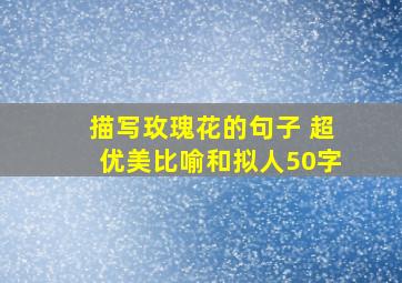 描写玫瑰花的句子 超优美比喻和拟人50字